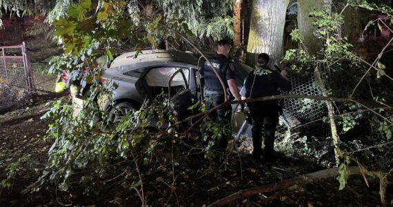A Silver Hyundai was allegedly carjacked out of Maple Valley by three teenagers, who crashed it later in the night in Black Diamond, killing one of the occupants. Photo courtesy Puget Sound Fire