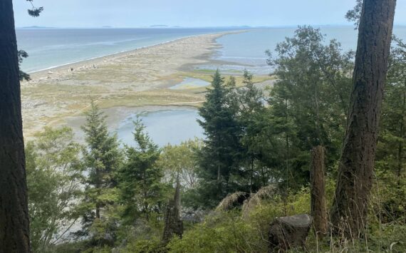 Photos by Kevin Hanson
Dungeness Spit was first recorded by European explorers in the 1790s, and was named after the Dungeness headland in England.
