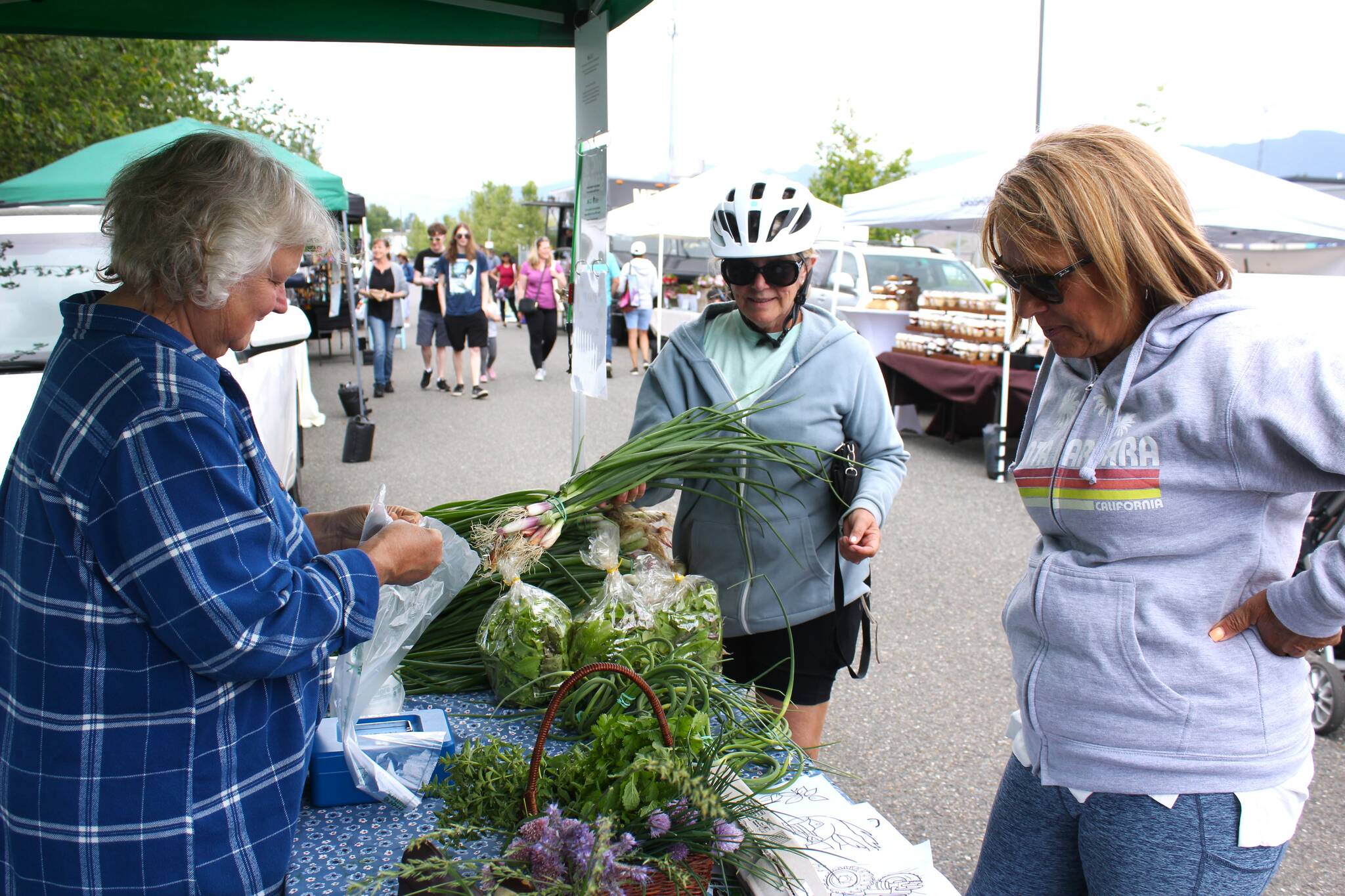 The annual Enumclaw Farmers Market on First Avenue runs every Thursday from 3 to 7 p.m. through September. To learn more, enumclawplateaufarmersmarket.org. (File photo)