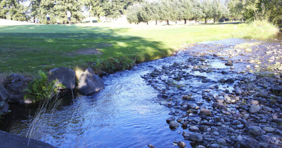 The Boise Creek currently runs through the Enumclaw Golf Course. The city is working on rerouting the creek to prevent annual flooding. Photo by Ray Miller-Still