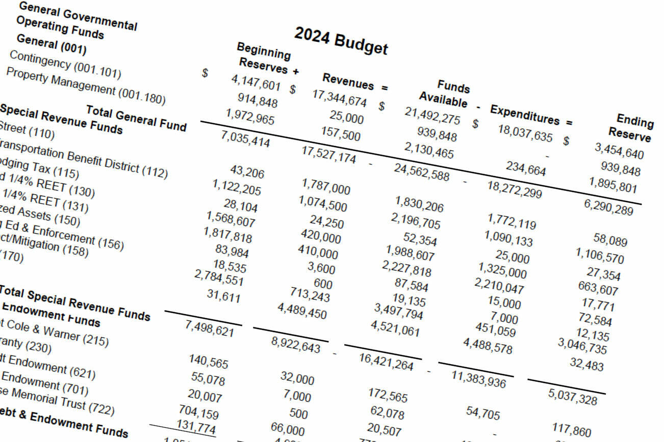 An image from the city’s preliminary budget on its website. Screenshot