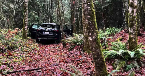 Screenshot
After a 40-year old Orting woman was found dead in University Place, Buckley police and Pierce County deputies found the suspect inside his car in rural Buckley.