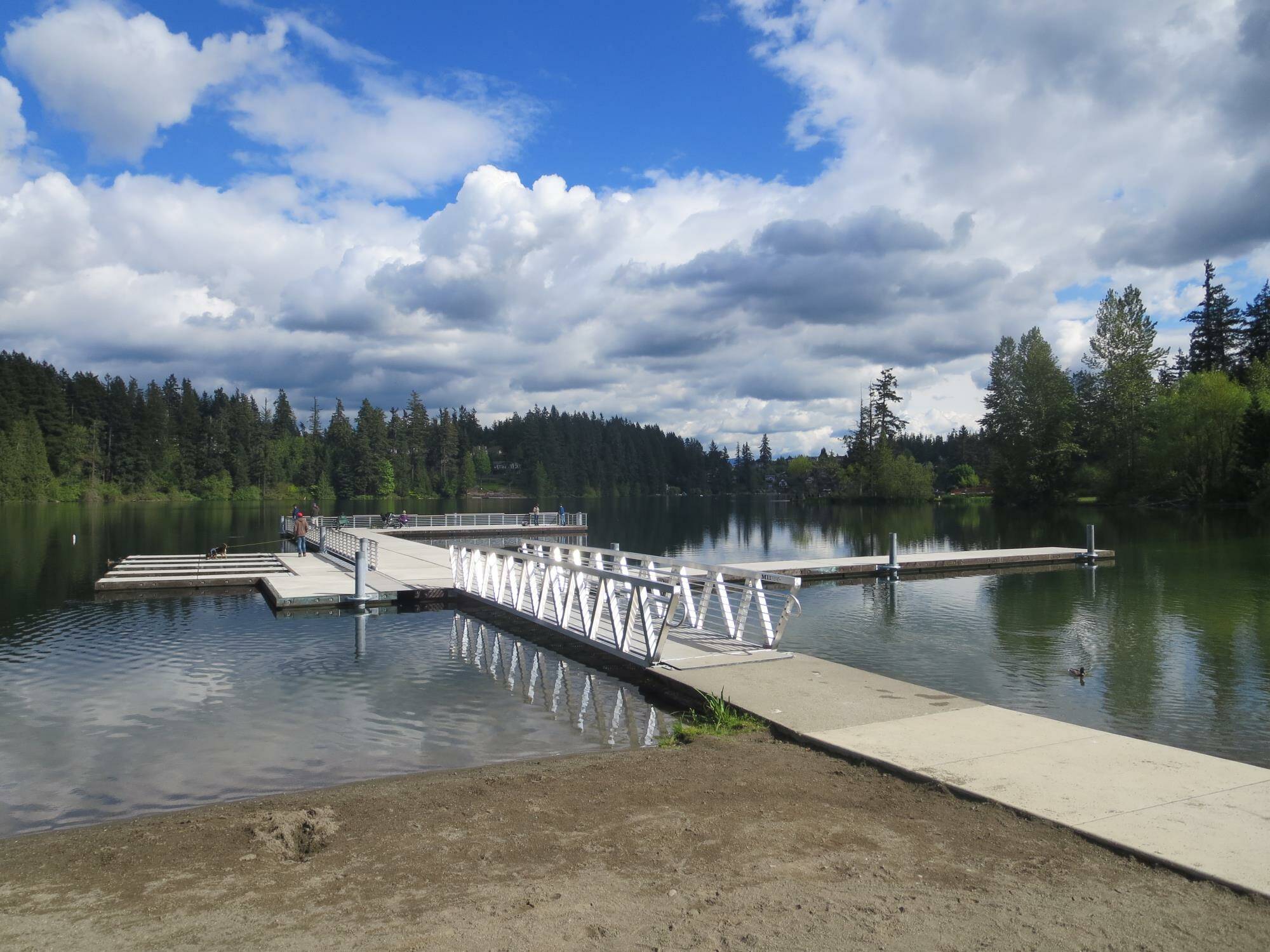 Make sure to check the water for any algae blooms before you plunge into Lake Wilderness — or any other body of water — for your polar bear plunge. Photo courtesy the city of Maple Valley