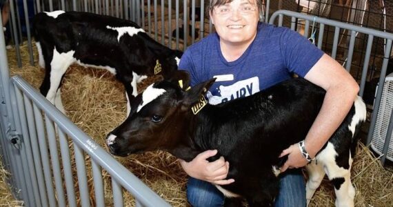 New King County Agricultural Commissioner Leann Krainick with one of her calves at the last King County Fair. Photo by Heather Curbow