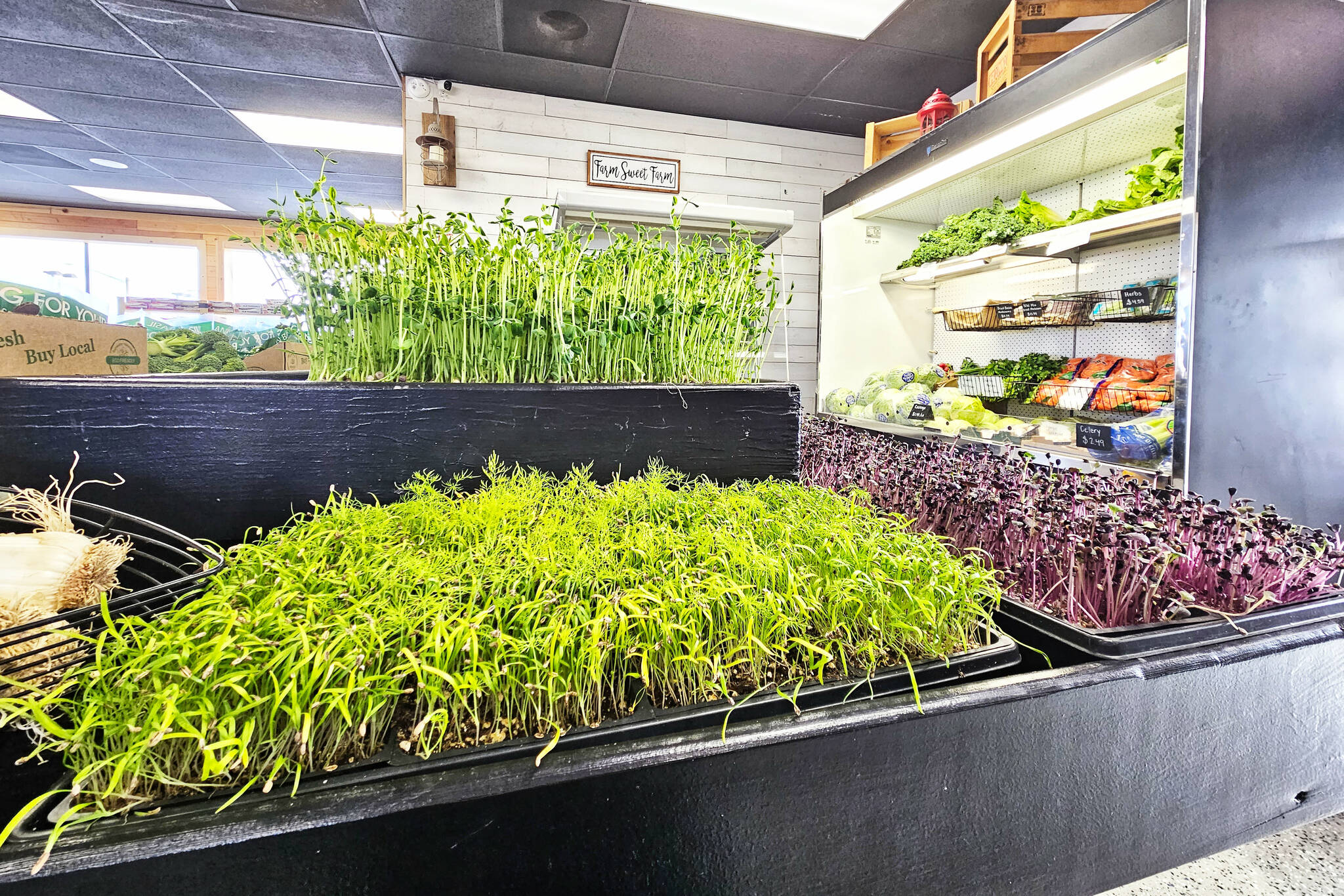 Rainier Fresh Country Store partners with numerous local farmers and producers, including Mom’s Microgreens, which is owned by store owner Patrick. Photo by Ray Miller-Still