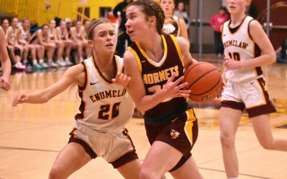 Photo by Kevin Hanson
White River’s Maggee Schmitz looks to get past Enumclaw’s Camryn Thomas, driving to the hoop during her team’s Friday night victory.