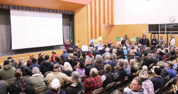Photo by Ray Miller-Still
The Black Diamond Elementary gym was filled on Feb. 27 to with locals eager to ask questions about Segale Property’s proposed mine north of Cumberland.