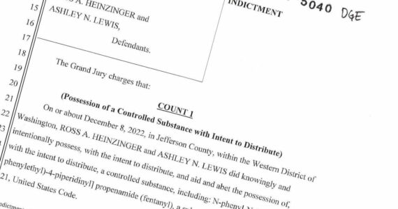 A screenshot of the indictment of Ross Heinzinger and Ashley Lewis.