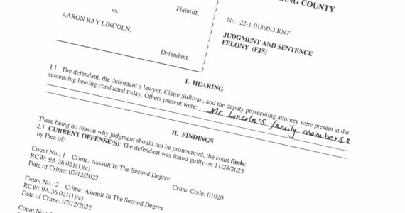 A screenshot of Aaron Lincoln’s sentence ruling.