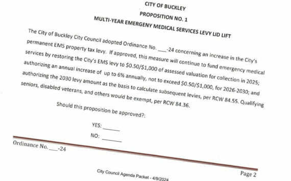 A screenshot of the EMS levy lid lift measure on the August primary ballot.