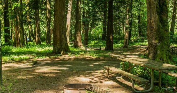 Photo courtesy Washington State Parks
A campground at Paradise Point State Park.
