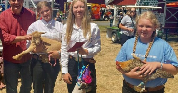 From left to right: King County Councilmember Reagan Dunn, ‘Rue’, the Nigerian Dwarf Goat owned by Sydney Ball; ‘Oklahoma’, the Hampshire/Suffolk Cross Lamb owned by Scarlett Cockerham; and ‘Honey Bun’, a Sicilian Buttercup Chicken owned by Vivian Cockerham. Courtesy photo