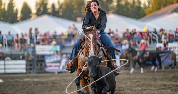 All photos by Vic Wright / vicwright.zenfolio.com