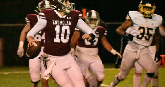 FILE PHOTO BY KEVIN HANSON 
Enumclaw quarterback Gavin Trachte looks for an open receiver during a game last fall. Now a senior, he is back to direct the Hornet offense.