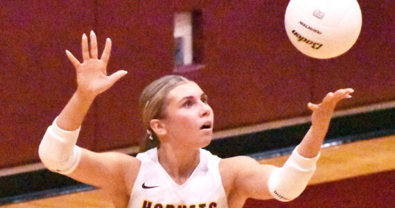 PHOTOS BY KEVIN HANSON The White River High girls made quick work of the visiting Kent-Meridian Royals the evening of Sept. 9, winning in three straight games. In this photo, Taylor Arnold winds up for a serve.