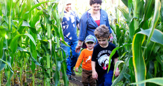 Photos by Ray Miller-Still 
The fall is a scary fun time on the Plateau — make sure to get lost in Thomasson Family Farms’ corn maze, find inspiration at the Crystal Quilters’ annual showcase, and go all out trick-or-treating in Enumclaw.