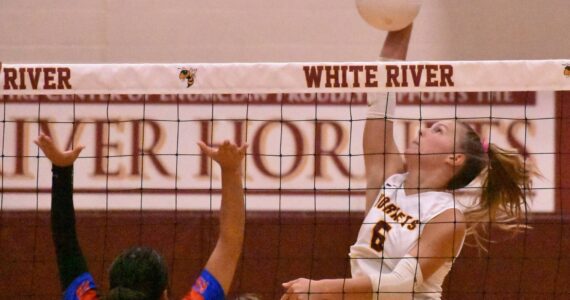 PHOTO BY KEVIN HANSON The White River High girls made quick work of the visiting Kent-Meridian Royals the evening of Sept.9, winning in three straight games. Pictured is Taylor Arnold winds up for a serve.