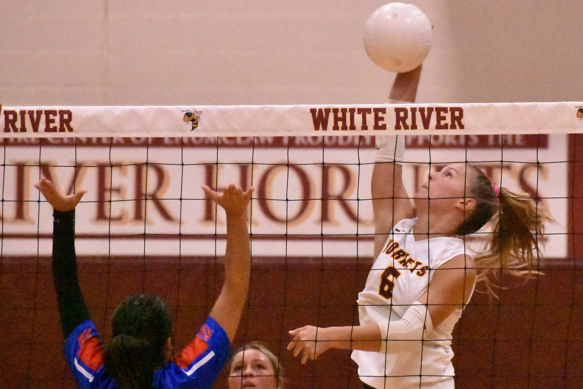 PHOTO BY KEVIN HANSON The White River High girls made quick work of the visiting Kent-Meridian Royals the evening of Sept.9, winning in three straight games. Pictured is Taylor Arnold winds up for a serve.