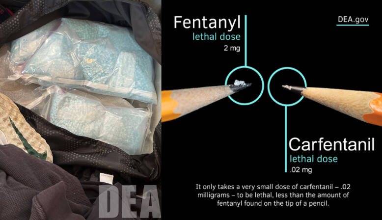 Courtesy photos 
A photo from the seizure and a photo showing carfentanils lethality.