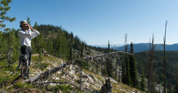 Courtesy photo
Jim Holyan howling in the Idaho backcountry. It’s all in the diaphragm, he says.