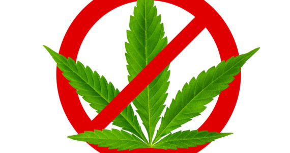 Image by artiom.photo/stock.adobe.com