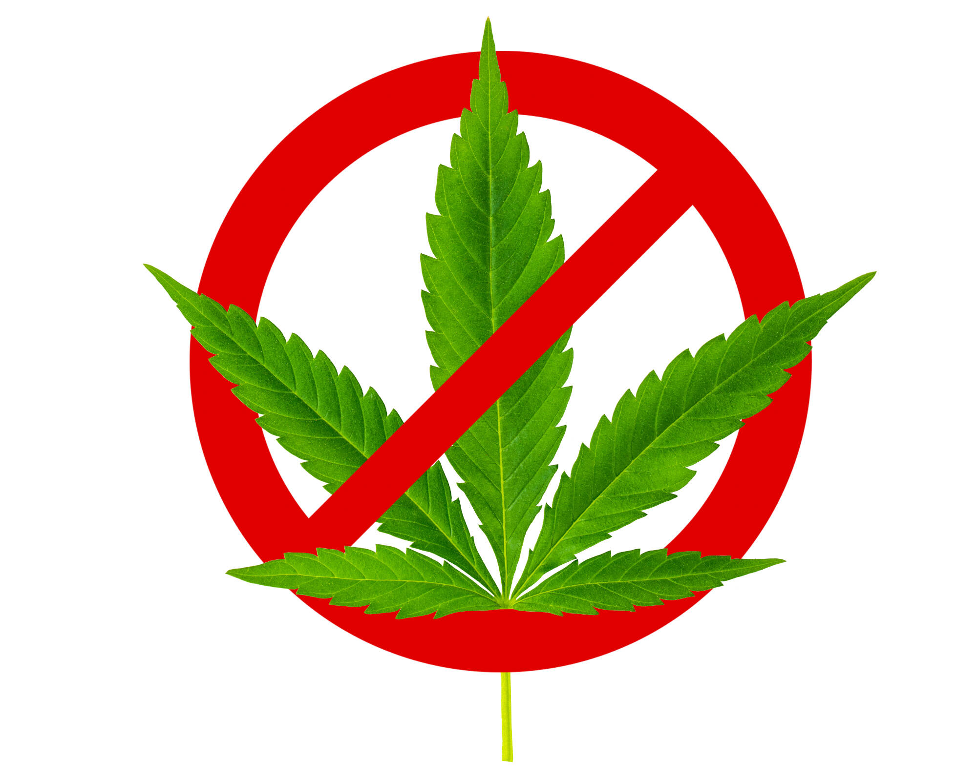 Image by artiom.photo/stock.adobe.com