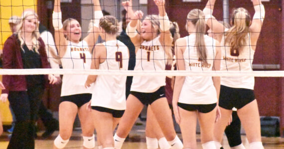 PHOTO BY KEVIN HANSON
White River volleyball players (and coach Hayley Steinman, left) celebrate their Thursday night victory over Enumclaw High.