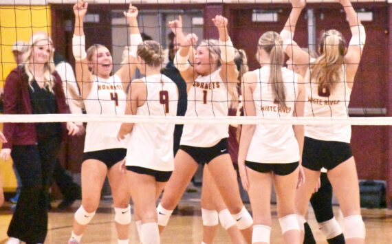 PHOTO BY KEVIN HANSON
White River volleyball players (and coach Hayley Steinman, left) celebrate their Thursday night victory over Enumclaw High.