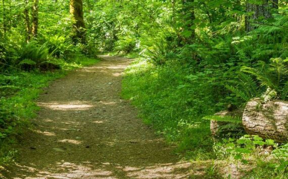 The 1.5 mile trail at Nolte State Park is mostly flat, with a steep incline at one point. Still, it’s good for beginners. Photo courtesy Washington State Parks
