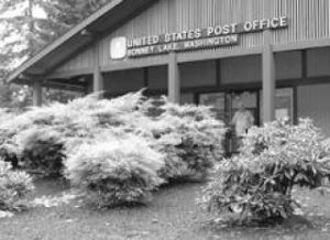 Bonney Lake ZIP code - 9839?