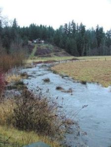 Fennel Creek Committee to get a new lease on life