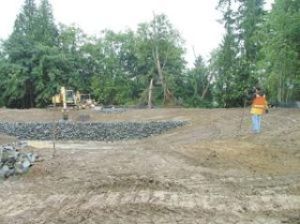 Eastown park complex is presented to council