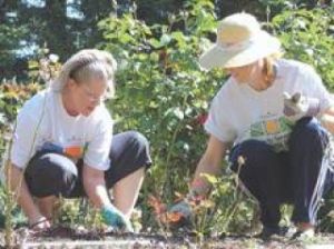 Bonney Lake Senior Center gets a face lift