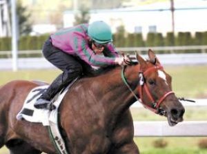 Locals shine during opening day of race season