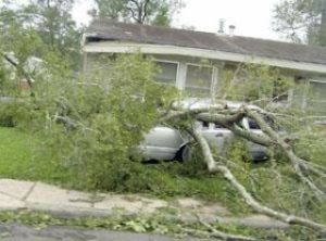 Fire chief, resident lend a helping hand