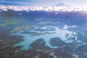 Tapps water rights draft released