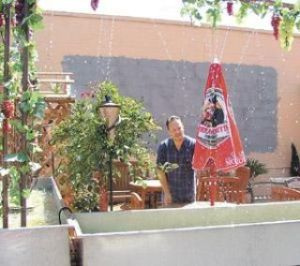 Papa's patio may get a fees reprieve