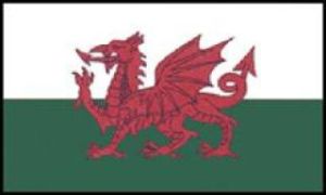 Black Diamond gears up for Welsh Day