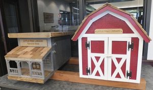 Little Free Library