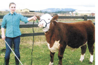 Ganados 4-H member Sky Senyohl keeps her hereford at her grandmother’s Enumclaw farm.