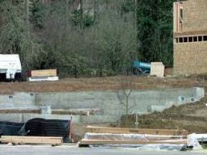 The moss covered skystone is surrounded by a wire mesh fence for protection
