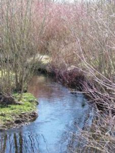 Bonney Lake land annex appealed