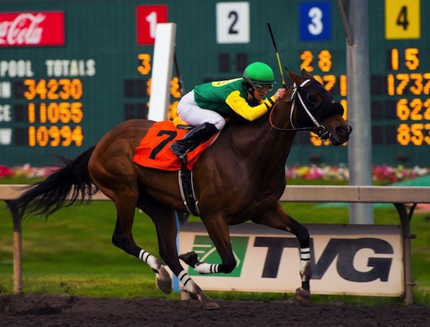 5-year-old Washington-bred E Z Kitty