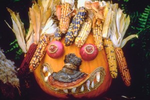 Harvest recipes and activities.