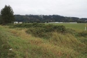 A portion of the land planned for development by Orton Farms LLC.