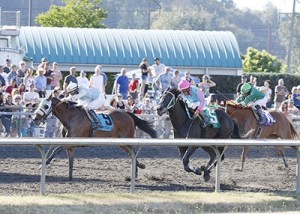 Washington-breds Stryker Phd