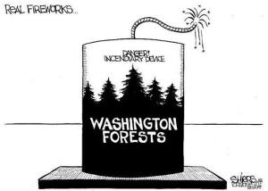 Real fireworks are dangerous.