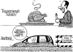 There are two different kinds of turkeys.