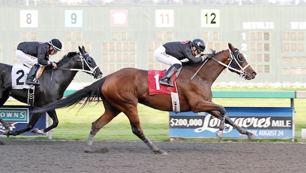 Goin to the Window and jockey Juan Gutierrez prevail in Sunday's $21