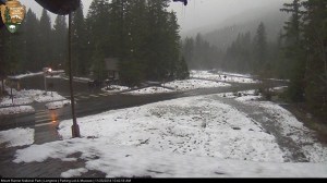 Mount Rainier Park